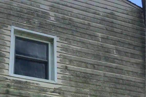 Siding before cleaning